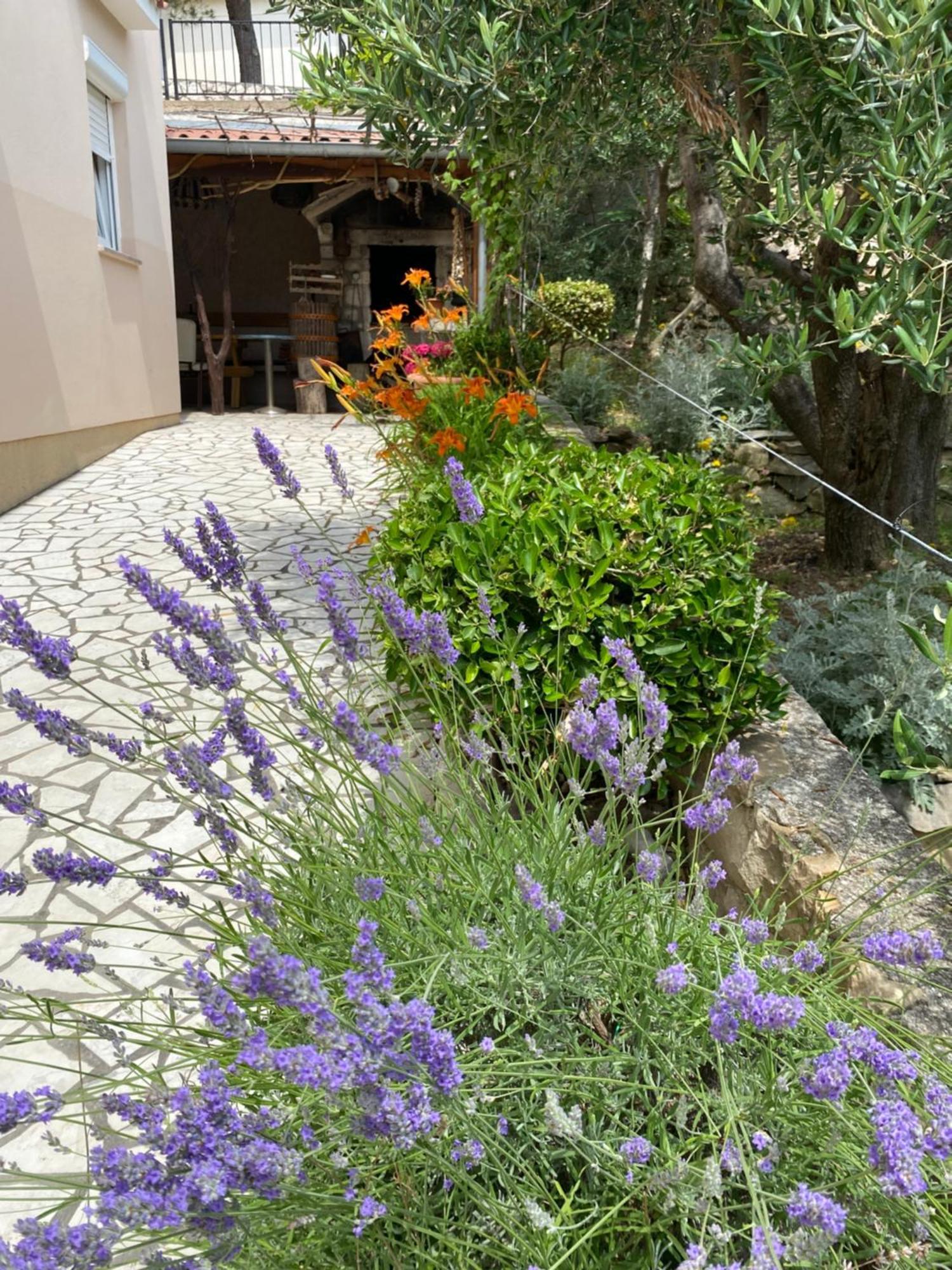 Apartments Vesna Banjol 외부 사진